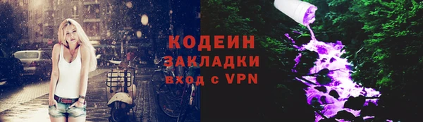 индика Абаза