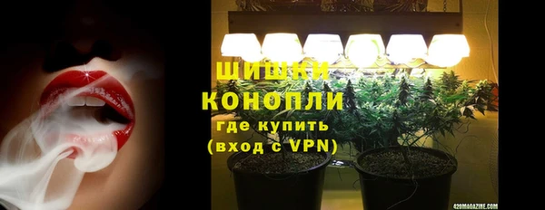 индика Абаза
