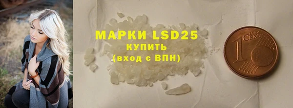индика Абаза