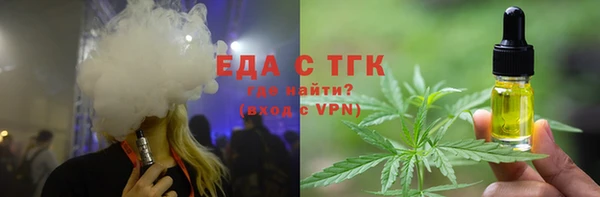 индика Абаза
