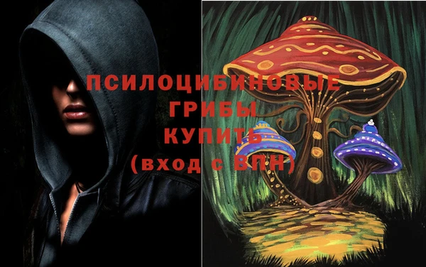 первитин Абинск