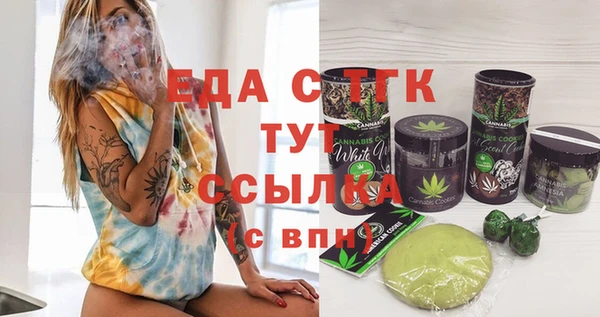 индика Абаза