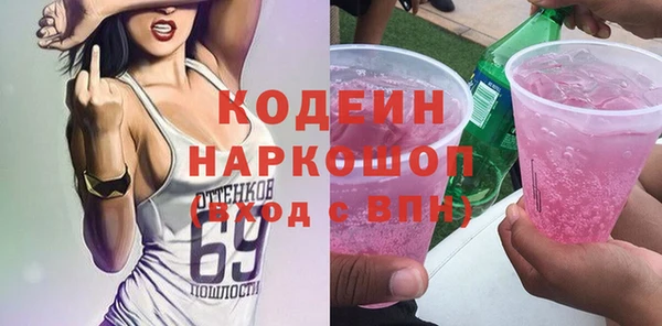 индика Абаза