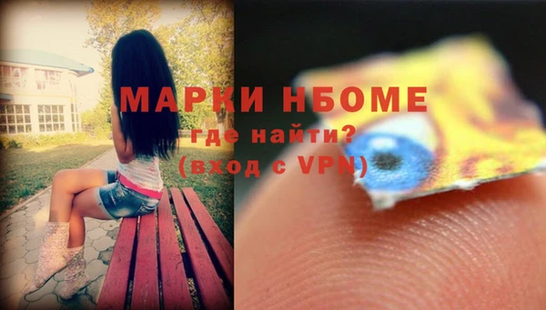 индика Абаза