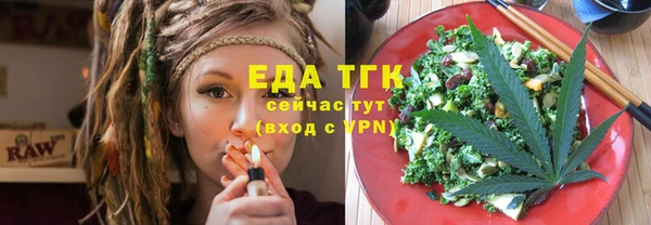 индика Абаза