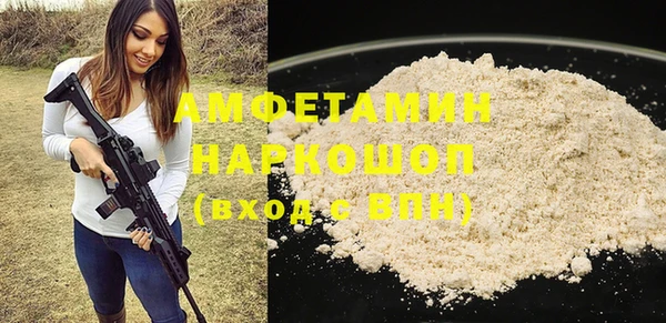 индика Абаза